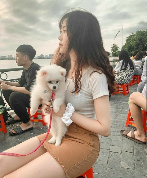 绿色椅子在线